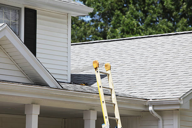 Professional Siding in Hockessin, DE